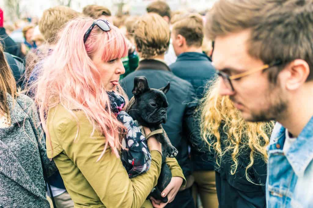 how to socialise your puppy